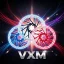 DISCO FREIO VXM 160MM & 180MM VARIAS CORES