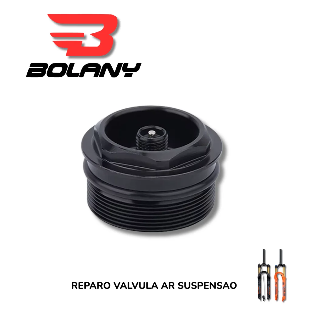 REPARO VALVULA AR SUSPENSAO BOLANY 32 & 34