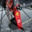 TENSOR DE CORRENTE MUQZI COM ROLDANA SPIDER